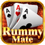 rummy nobody icon