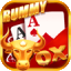 rummy passion download icon